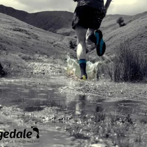 Bridgedale