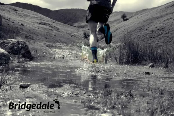 Bridgedale