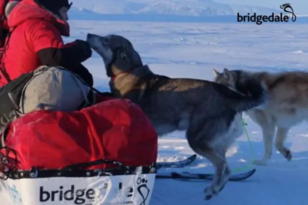 Bridgedale - Imagen 6