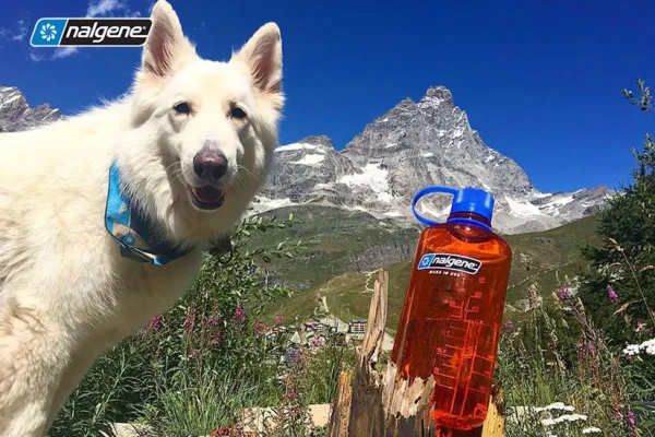 Nalgene - Imagen 6