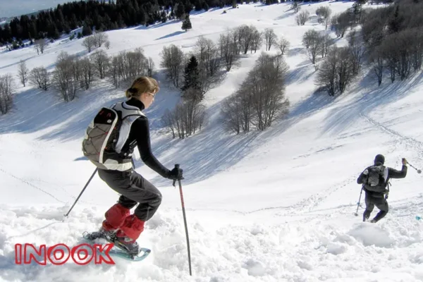 Inook - Imagen 6